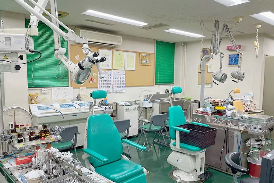 緑を基調とした診療室